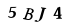 captcha-input
