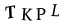 captcha-input